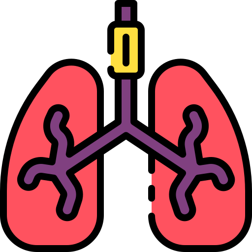 lungs 7283040.png
